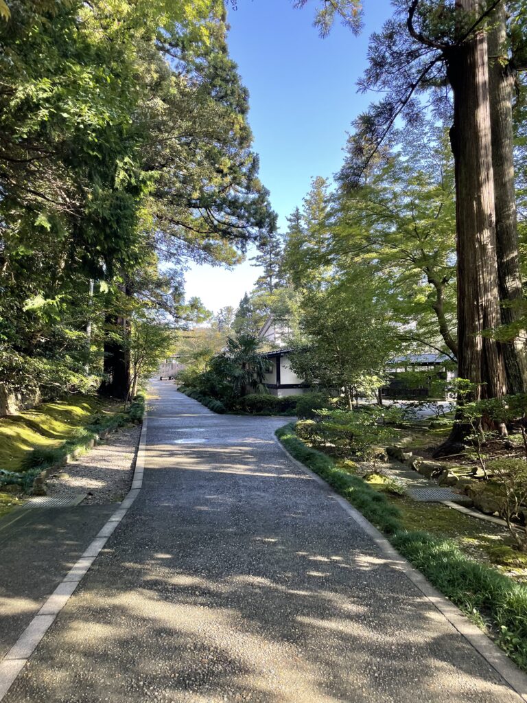 朝日が差し込む彌彦神社の参道